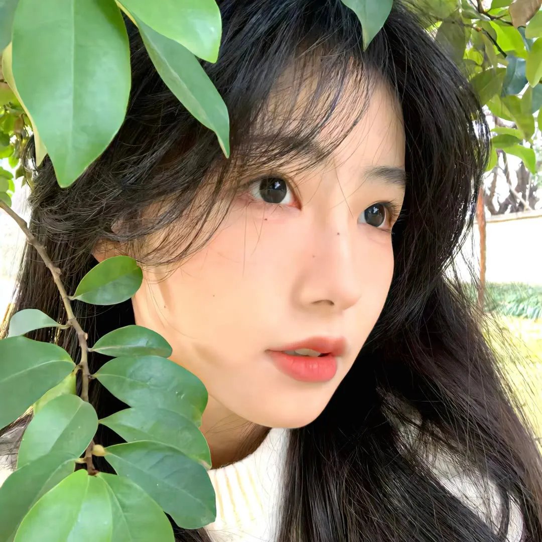 圆桌